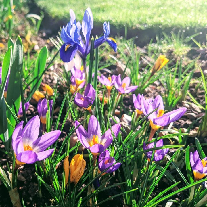 e4839e44-8205-4aaf-8950-757feeb5698e